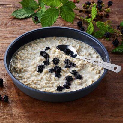 TnE Protein Porridge