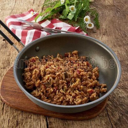 TnE Beef Stroganoff with Rice