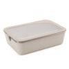 big-meal-box-2
