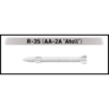 5919-mig-21-weapon